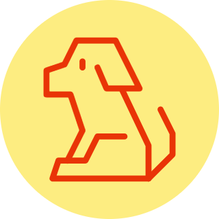 Bác sỹ thú Y, chăm sóc sức khỏe thú cưng